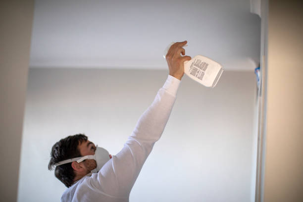 Best Health and Safety Mold Remediation in Barry, IL