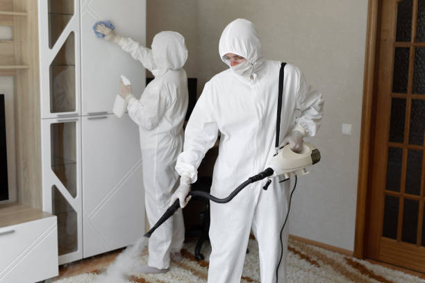 Best White Mold Remediation in Barry, IL